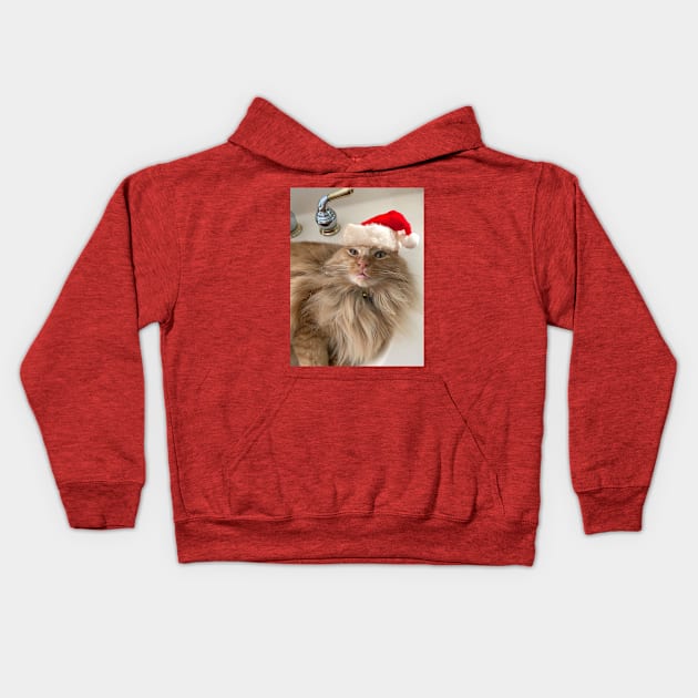 Orange Tabby Cat in Santa Hat Kids Hoodie by KarenZukArt